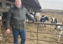 Робота єдиної ферми, яка забезпечувала молоком правобережжя Херсонщини (відео)