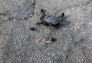 У Бериславі поліцейські збили п’ять квадрокоптерів, за допомогою яких російські війська обстрілювали місто