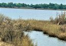 Оперативна інформація станом на 28 червня щодо водогосподарської ситуації Каховської та Дніпровської ГЕС
