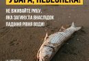 Через руйнування російськими окупантами дамби Каховської ГЕС почався масовий мор риби